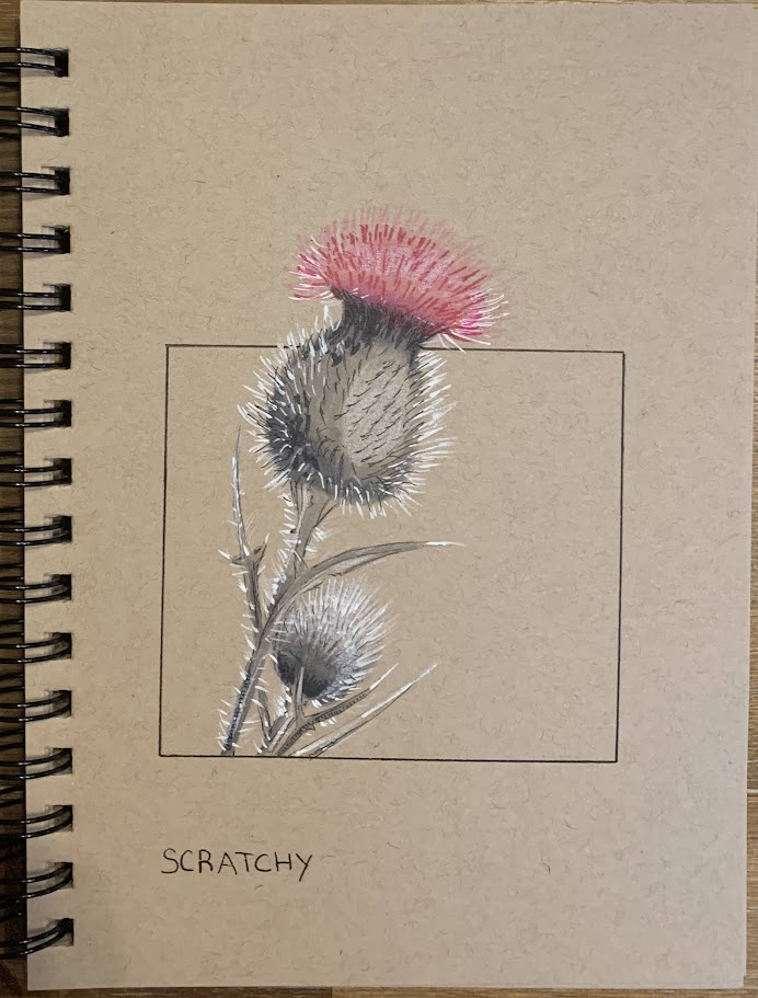 Scratchy — thistle